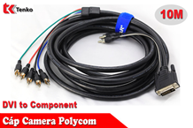 Cáp Polycom DVI To Component Dài 10M